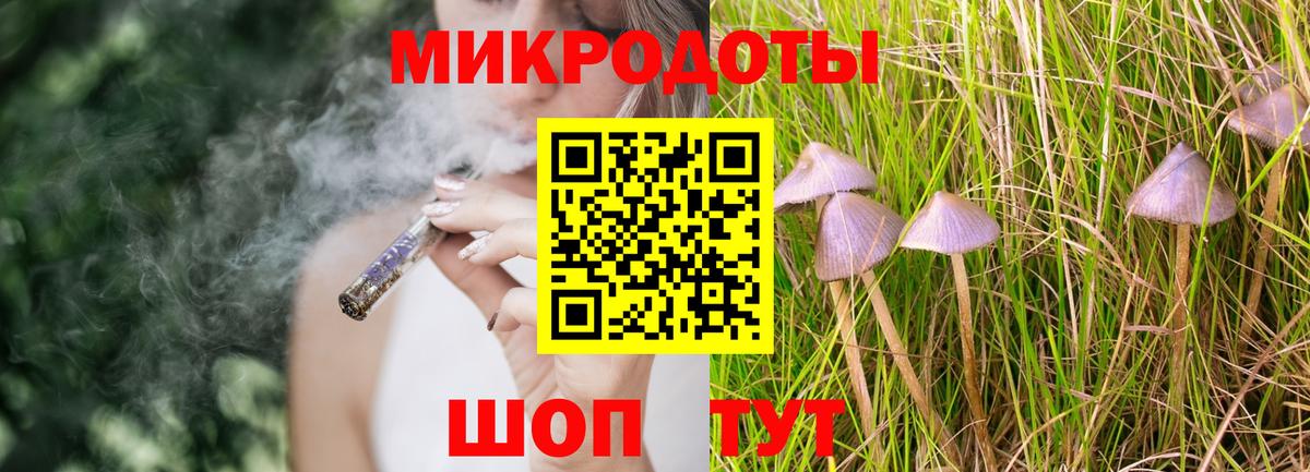 Гулькевичи  Галлюциногенные грибы Psilocybine cubensis  Вход с VPN 
